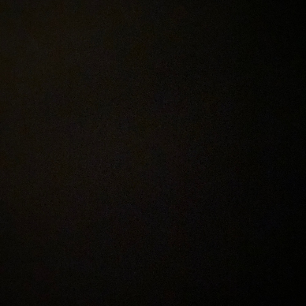 Meet your Posher, Bee